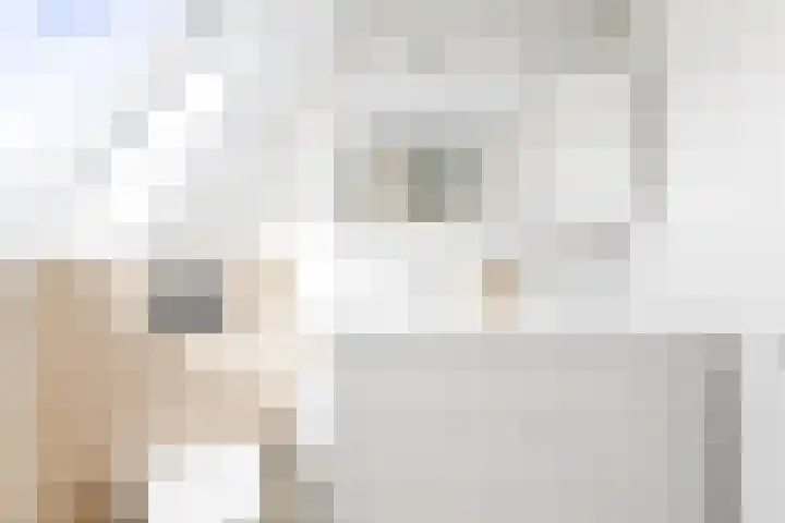 Anna Blamanlaan 23 Vlissingen thumbnail 25