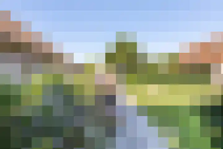 Anna Blamanlaan 23 Vlissingen thumbnail 32