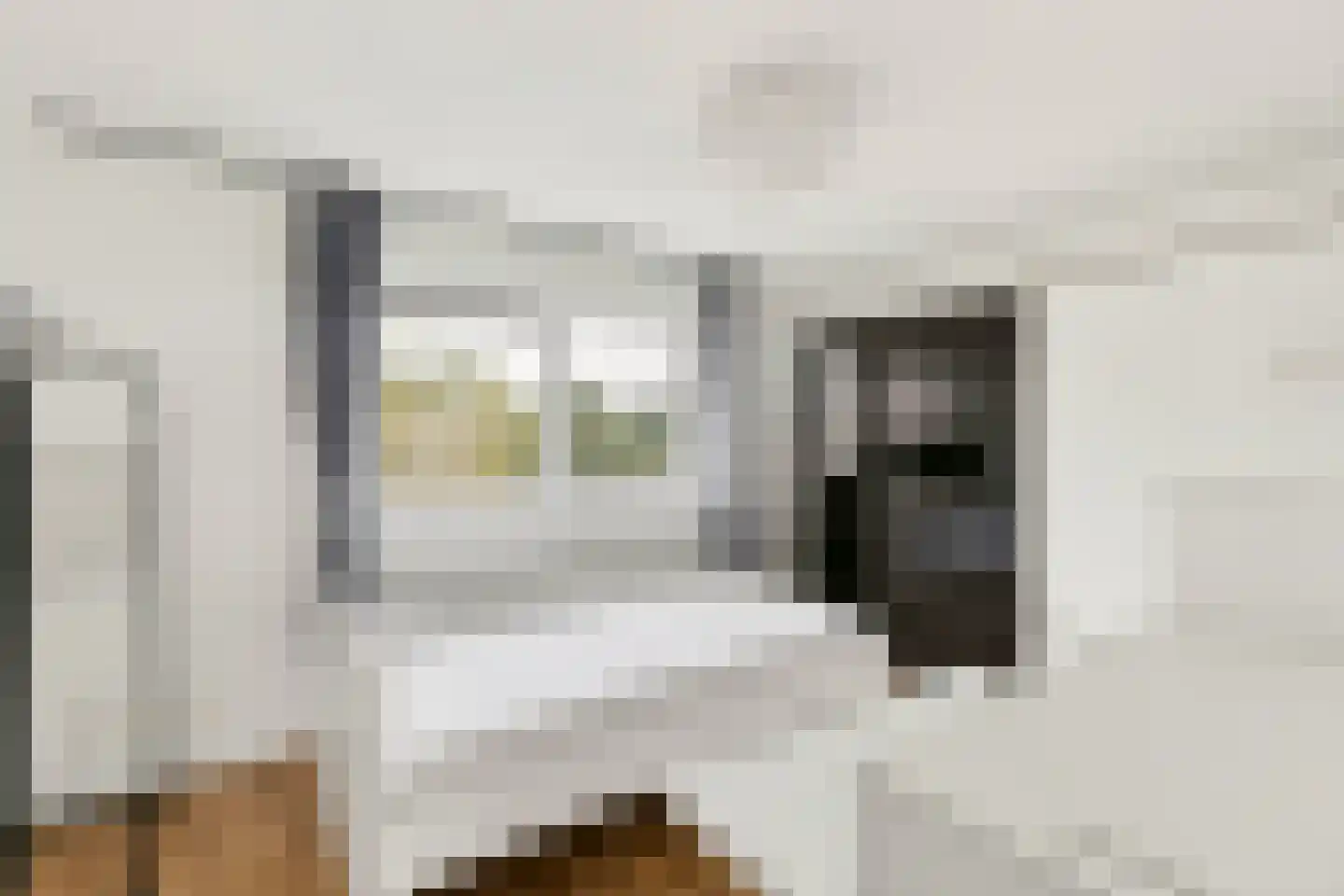 Anna Blamanlaan 51 Amstelveen thumbnail 21