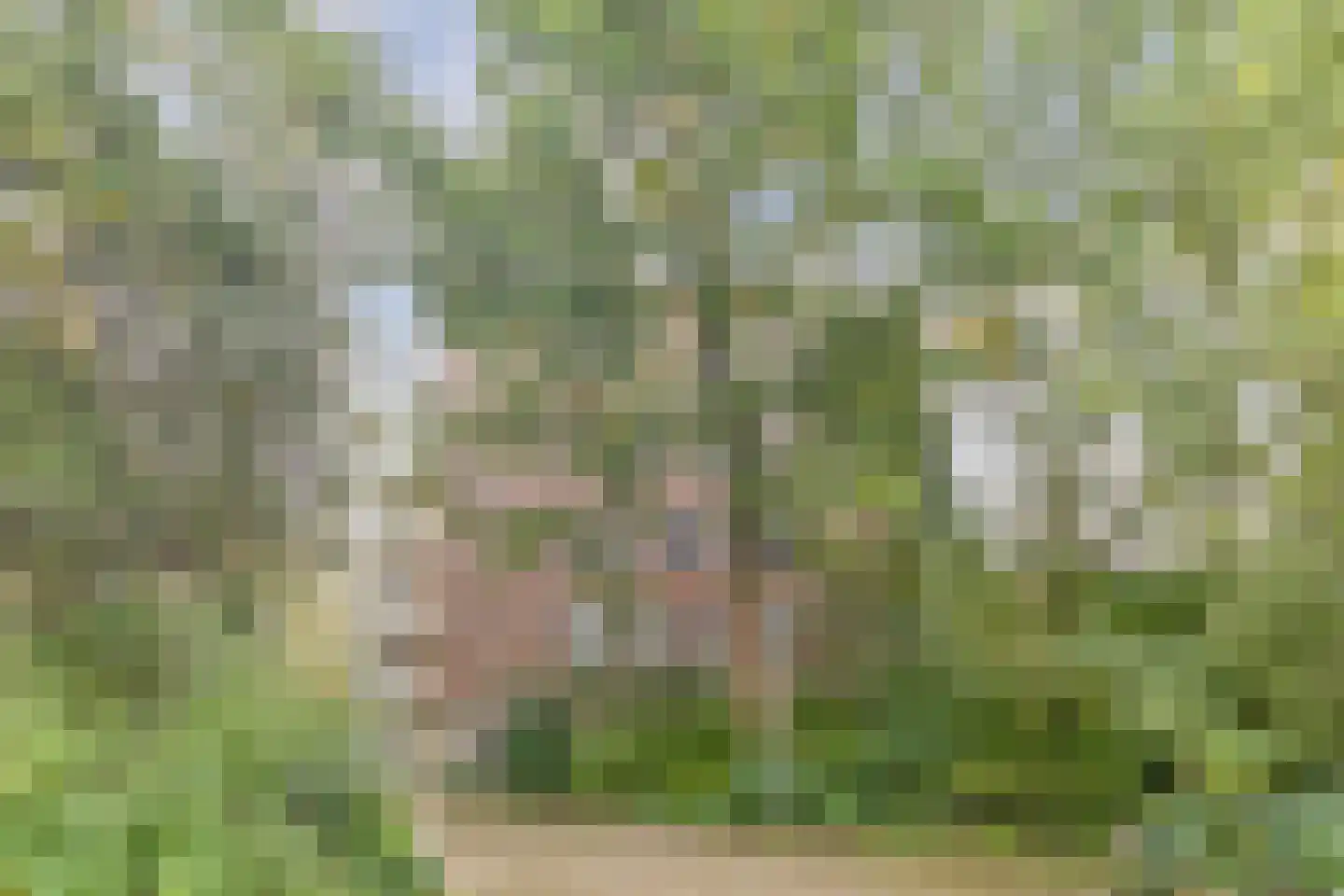Anna Blamanlaan 51 Amstelveen thumbnail 30