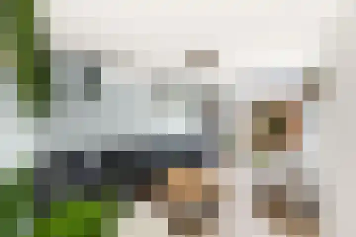 Anna Blamanlaan 8 Vlissingen thumbnail 11