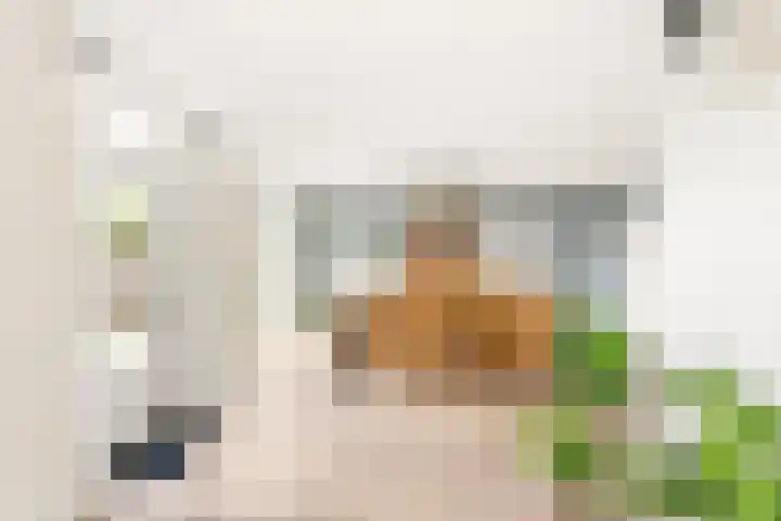Anna Blamanlaan 8 Vlissingen thumbnail 13