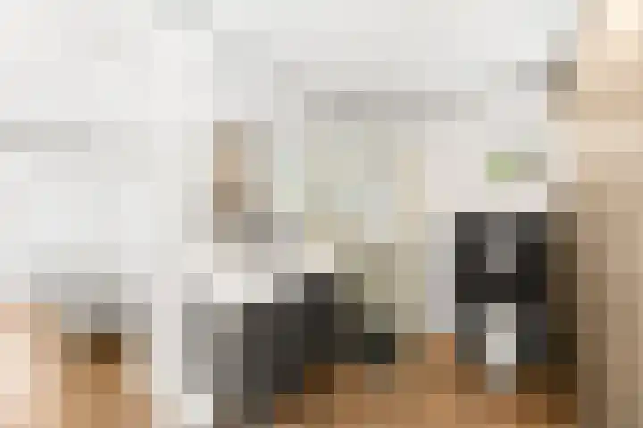 Anna Blamanlaan 8 Vlissingen thumbnail 4