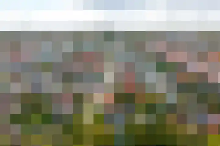 Anna Blamanlaan 8 Vlissingen thumbnail 5