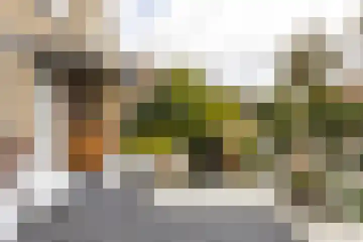 Anna Blamanlaan 8 Vlissingen thumbnail 7