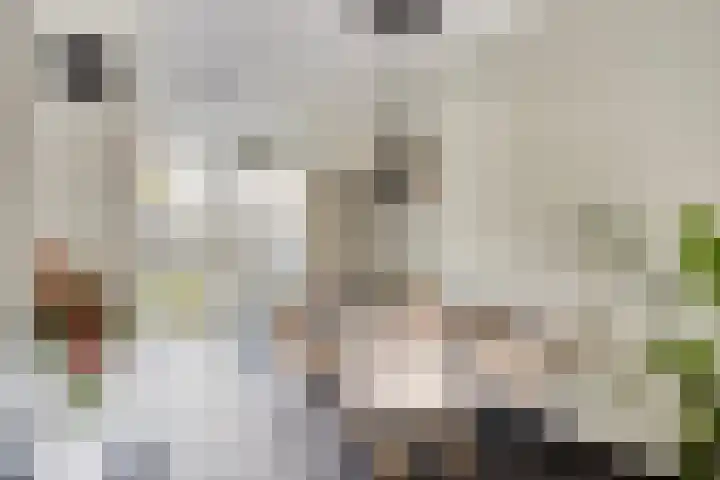 Anna Blamanpad 12 Middelharnis thumbnail 13