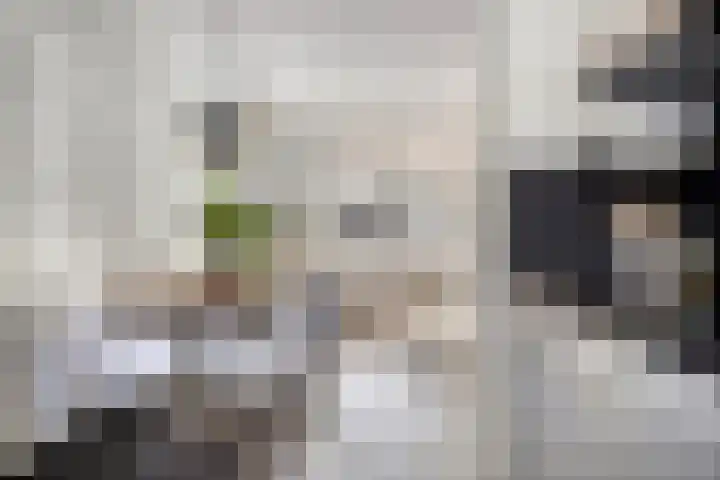 Anna Blamanpad 12 Middelharnis thumbnail 15