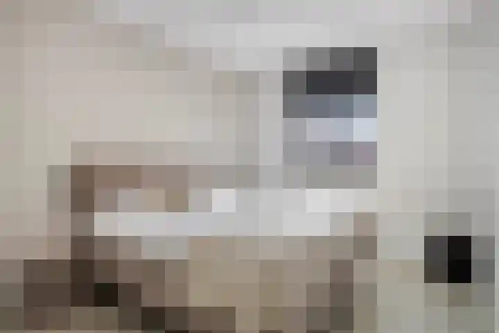 Anna Blamanpad 12 Middelharnis thumbnail 17