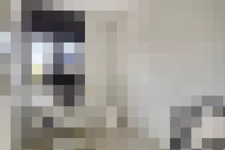 Anna Blamanpad 12 Middelharnis thumbnail 18