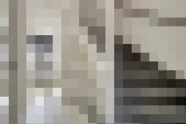 Anna Blamanpad 12 Middelharnis thumbnail 23