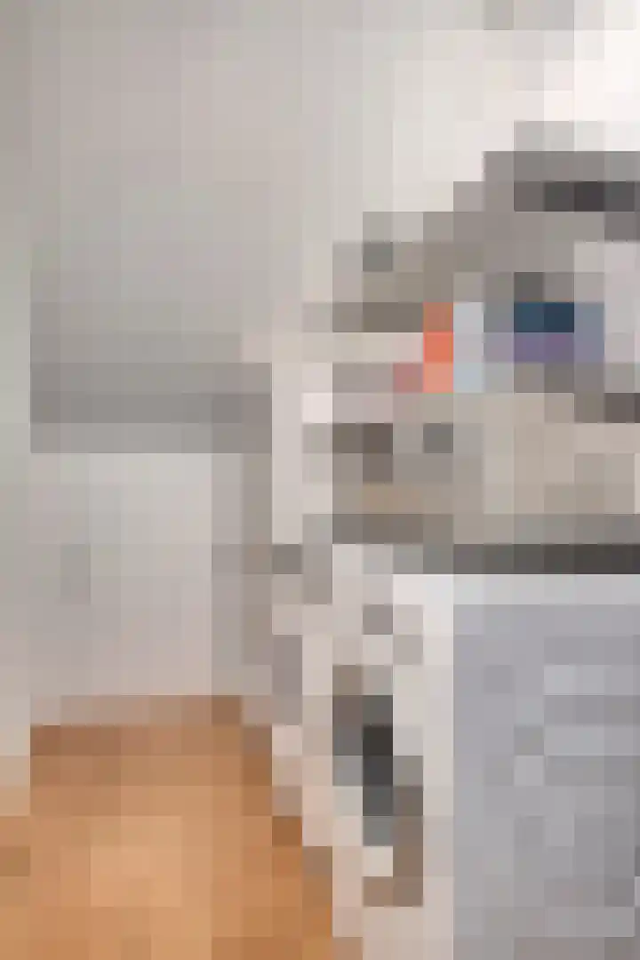 Anna Blamanpad 12 Middelharnis thumbnail 29