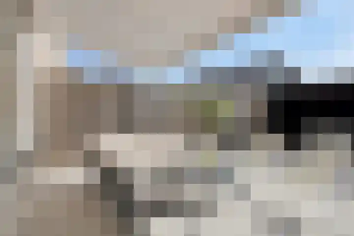 Anna Blamanpad 12 Middelharnis thumbnail 30