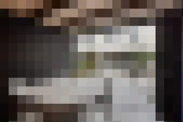 Anna Blamanpad 12 Middelharnis thumbnail 32