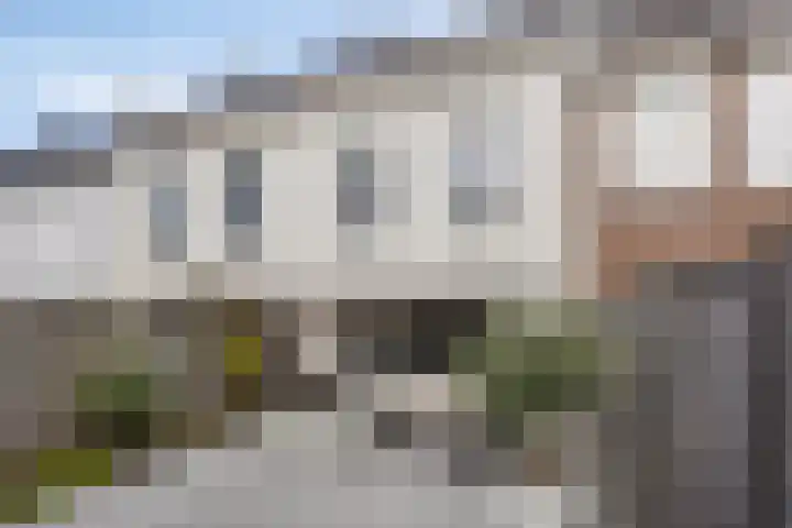 Anna Blamanpad 12 Middelharnis thumbnail 33