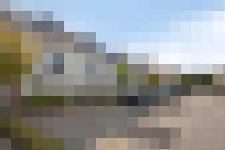 Anna Blamanpad 12 Middelharnis thumbnail 34