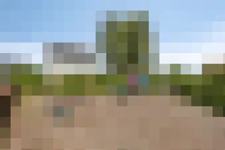 Anna Blamanpad 12 Middelharnis thumbnail 35