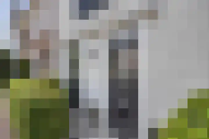 Anna Blamanpad 12 Middelharnis thumbnail 6
