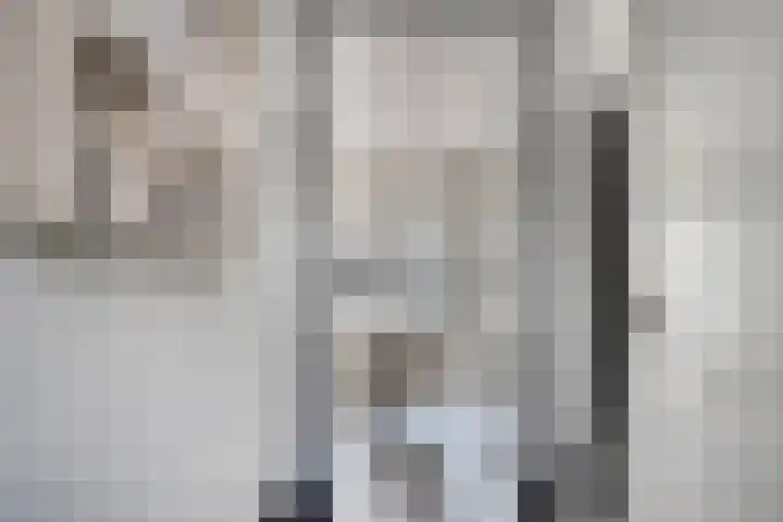 Anna Blamanpad 12 Middelharnis thumbnail 9