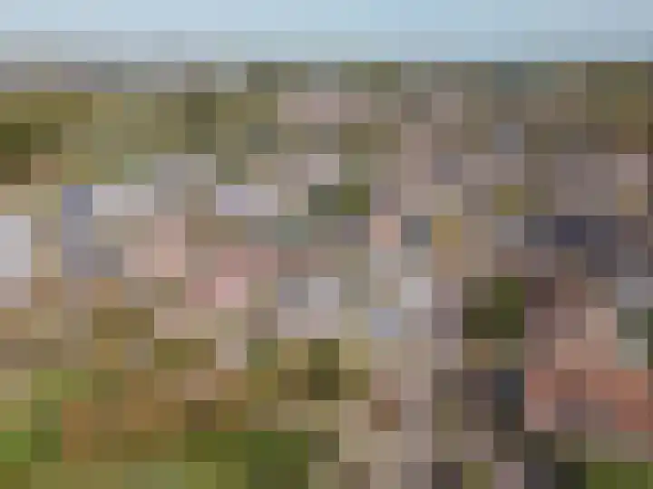 Anna Blamanpad 2 Raamsdonksveer thumbnail 10