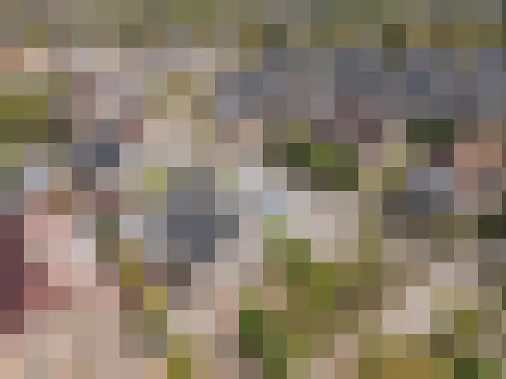Anna Blamanpad 2 Raamsdonksveer thumbnail 11