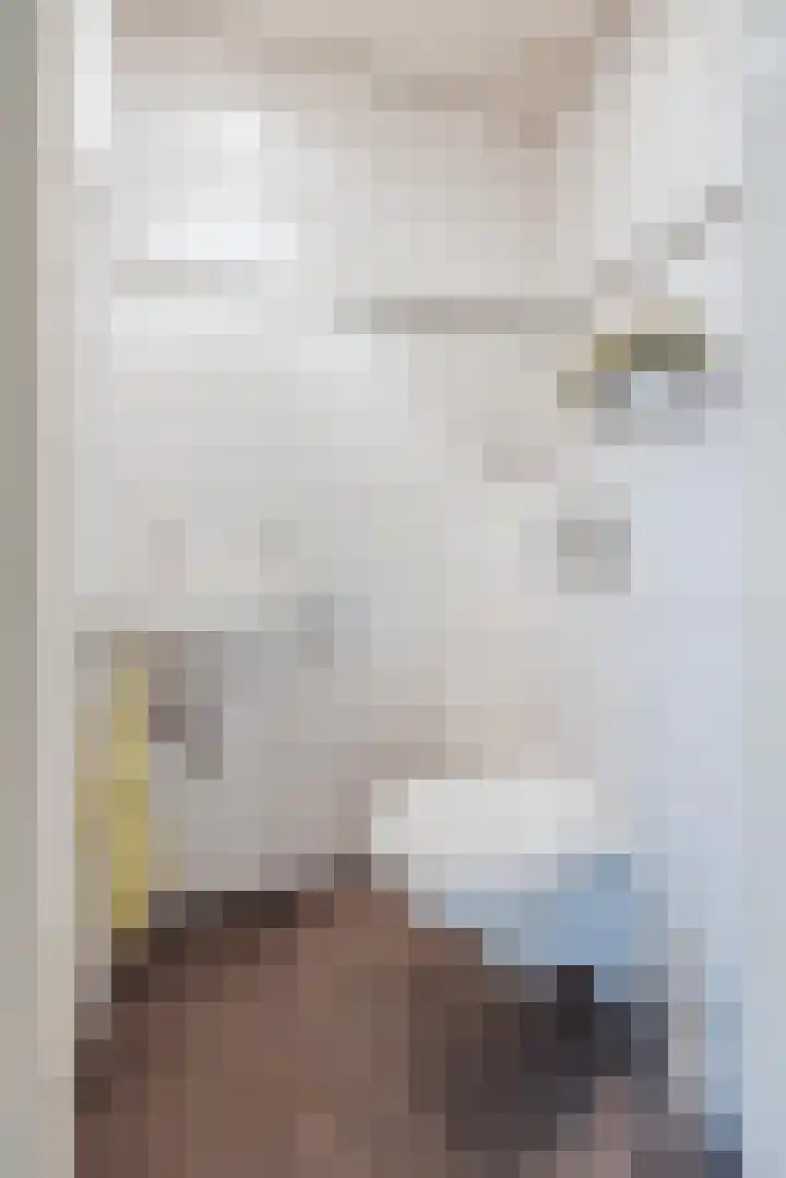 Anna Blamanpad 2 Raamsdonksveer thumbnail 13