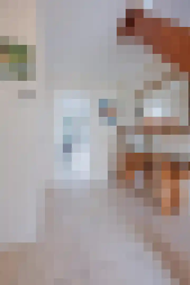 Anna Blamanpad 2 Raamsdonksveer thumbnail 14