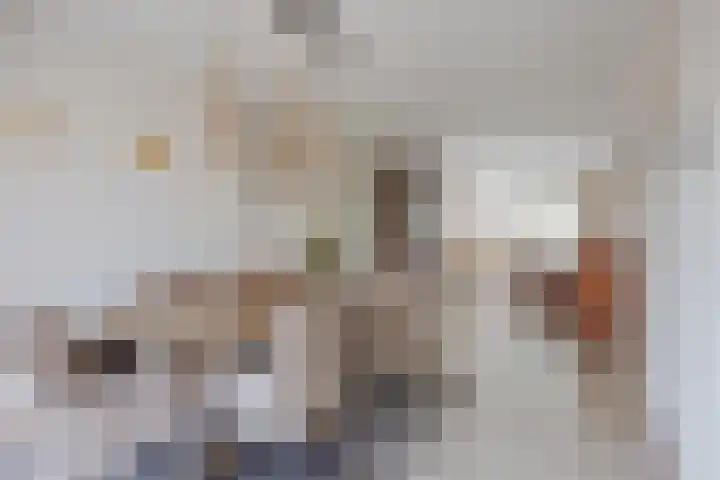 Anna Blamanpad 2 Raamsdonksveer thumbnail 15