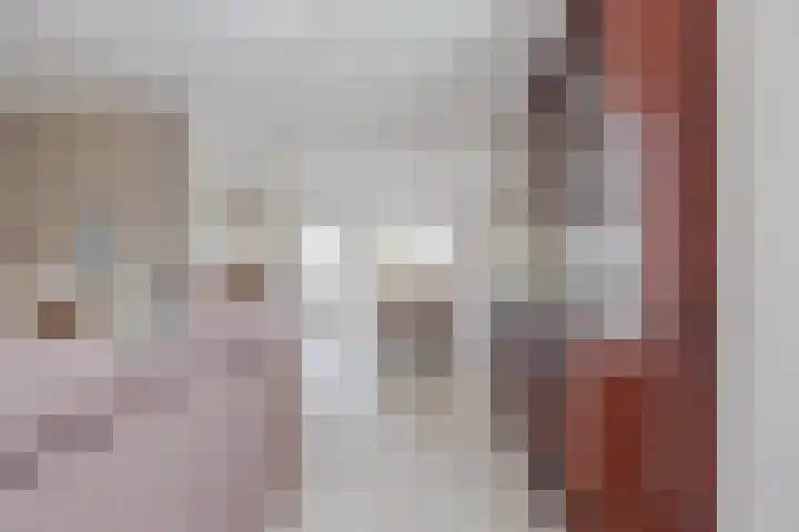 Anna Blamanpad 2 Raamsdonksveer thumbnail 18