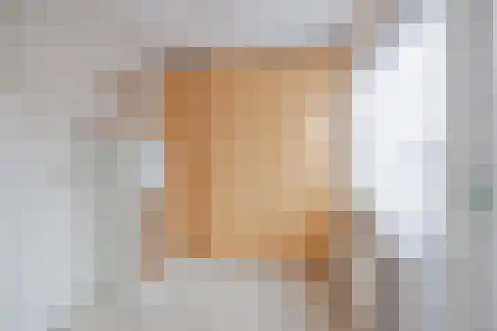 Anna Blamanpad 2 Raamsdonksveer thumbnail 25