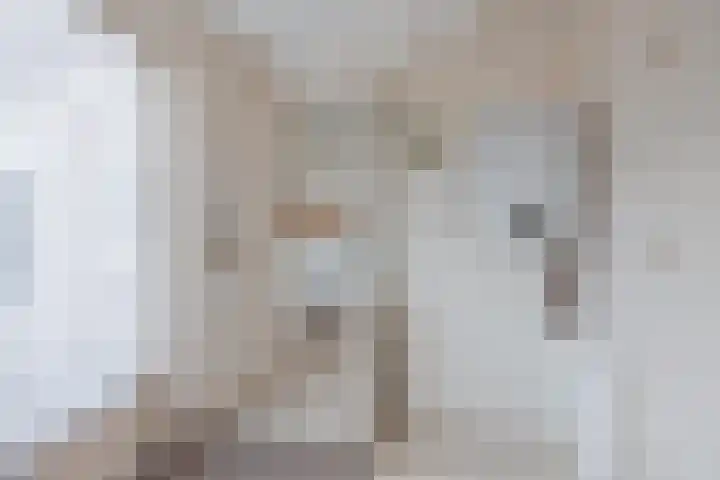 Anna Blamanpad 2 Raamsdonksveer thumbnail 26