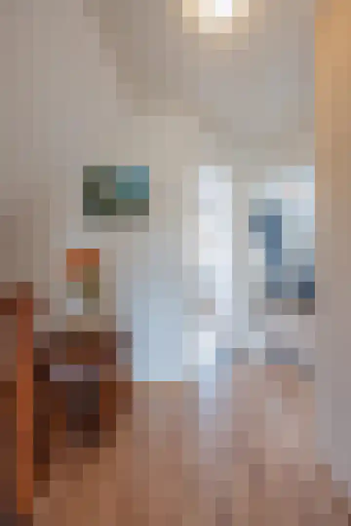Anna Blamanpad 2 Raamsdonksveer thumbnail 28