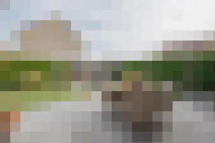 Anna Blamanpad 2 Raamsdonksveer thumbnail 39