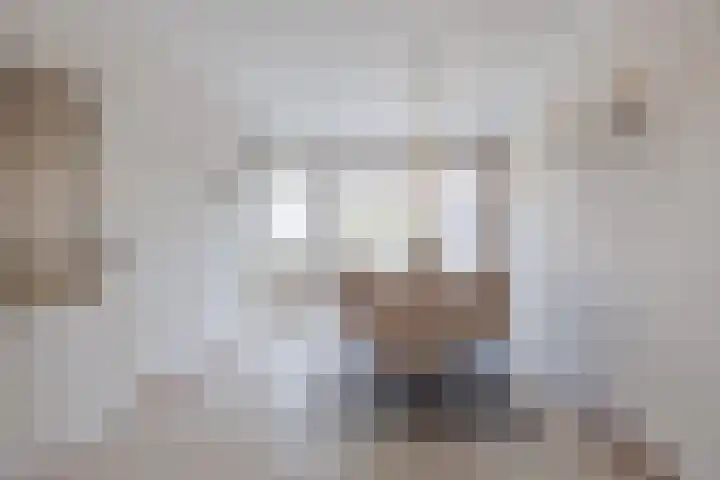 Anna Blamanpad 2 Raamsdonksveer thumbnail 4