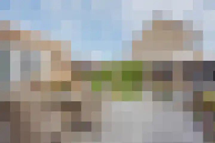 Anna Blamanpad 2 Raamsdonksveer thumbnail 40