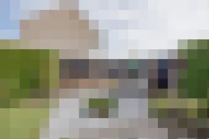 Anna Blamanpad 2 Raamsdonksveer thumbnail 41