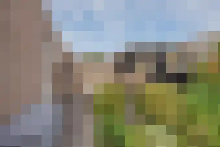 Anna Blamanpad 2 Raamsdonksveer thumbnail 42