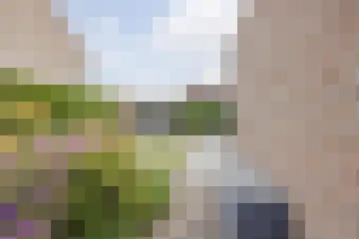Anna Blamanpad 2 Raamsdonksveer thumbnail 43