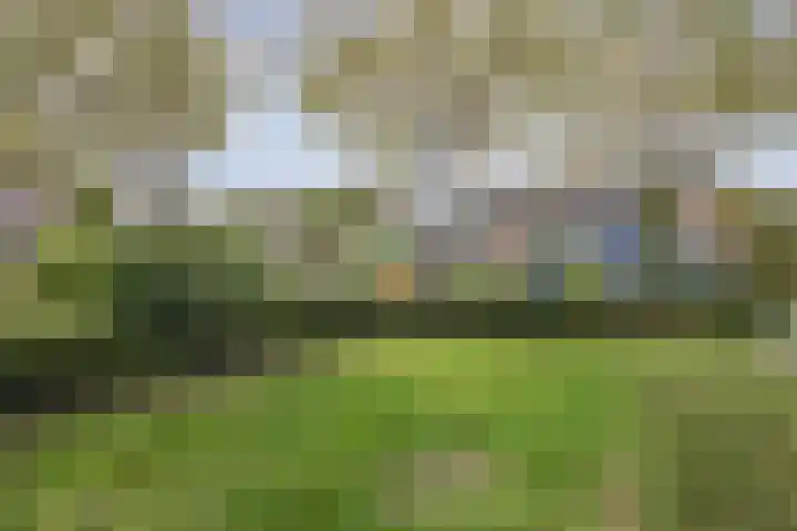 Anna Blamanpad 2 Raamsdonksveer thumbnail 44