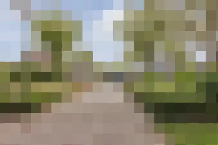Anna Blamanpad 2 Raamsdonksveer thumbnail 45