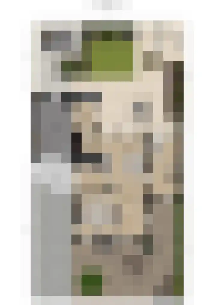 Anna Blamanpad 2 Raamsdonksveer thumbnail 46