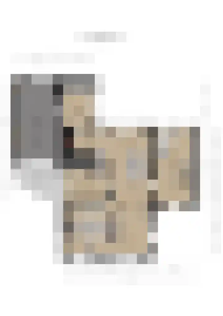 Anna Blamanpad 2 Raamsdonksveer thumbnail 47