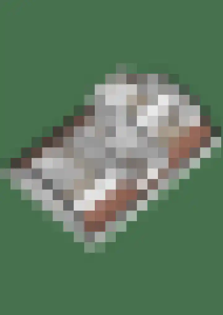 Anna Blamanpad 2 Raamsdonksveer thumbnail 52