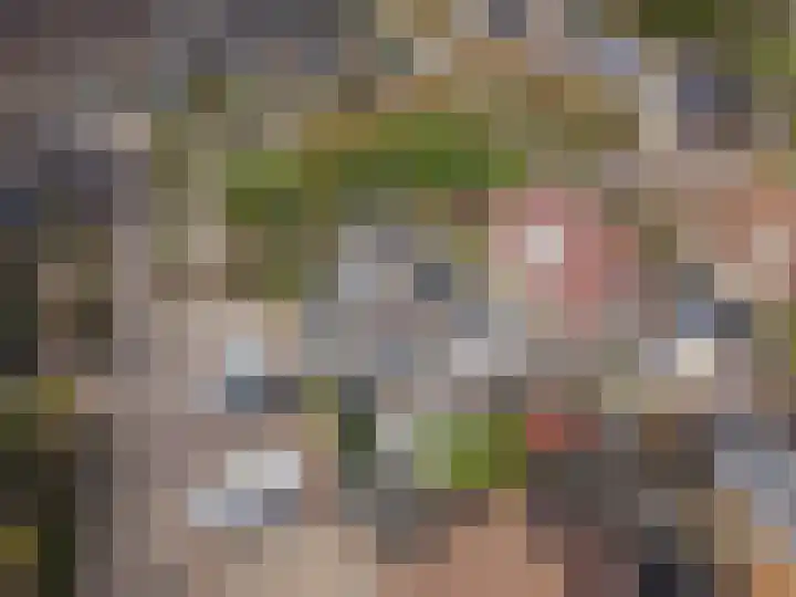 Anna Blamanpad 2 Raamsdonksveer thumbnail 6