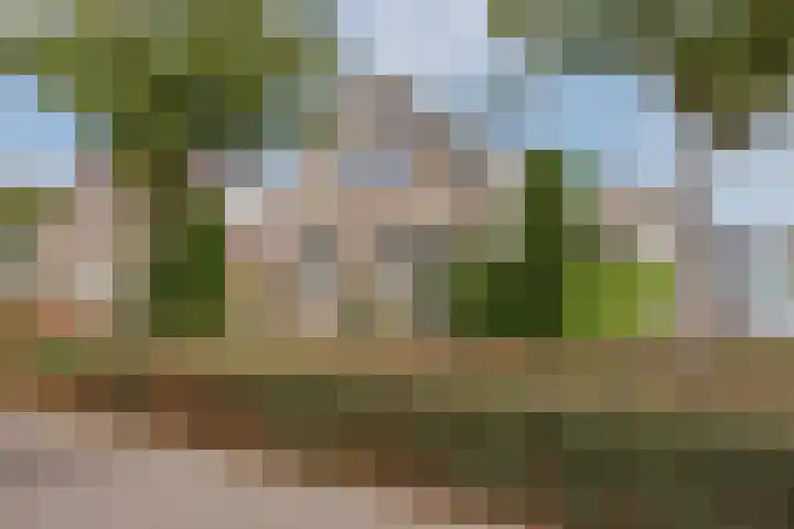 Anna Blamanpad 2 Raamsdonksveer thumbnail 7
