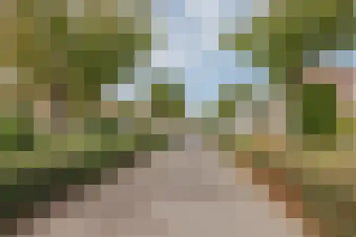 Anna Blamanpad 2 Raamsdonksveer thumbnail 8