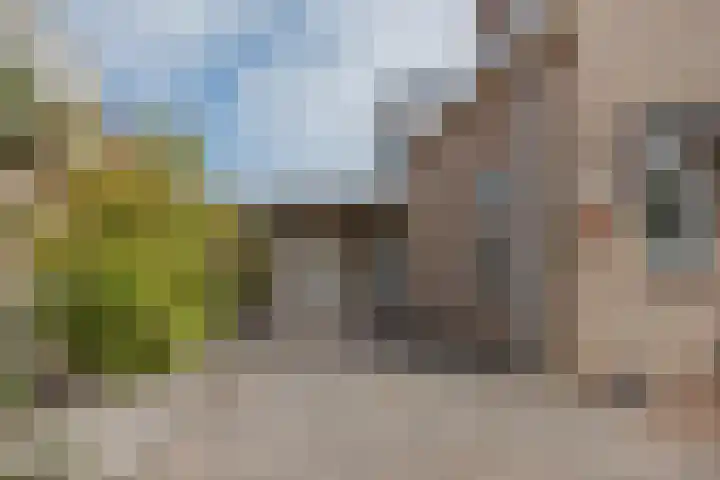 Anna Blamanpad 2 Raamsdonksveer thumbnail 9