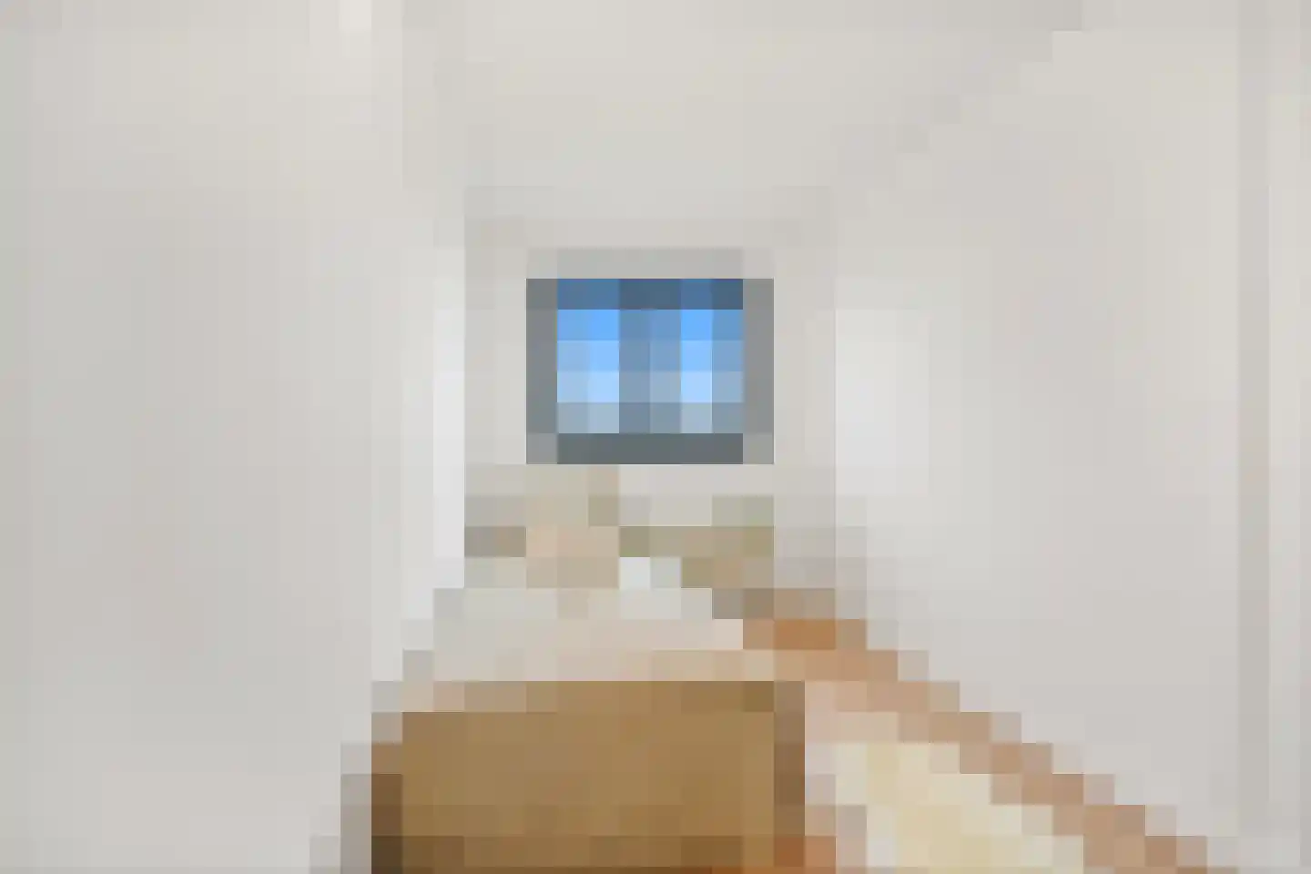 Anna Blamanplein 74 Den Haag thumbnail 12