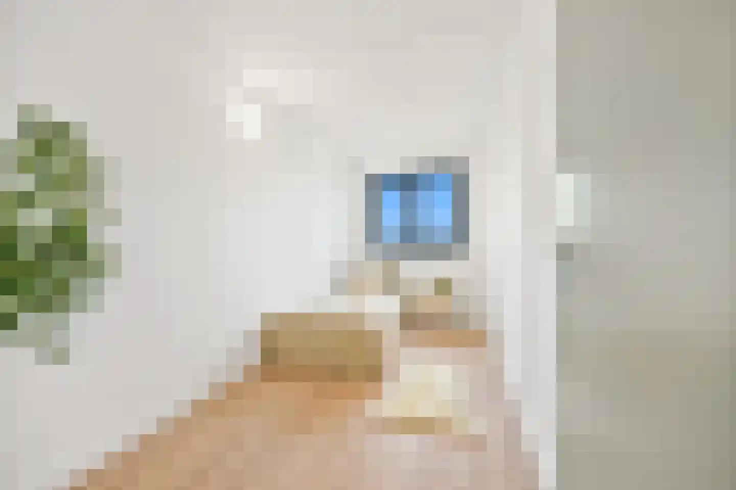 Anna Blamanplein 74 Den Haag thumbnail 14