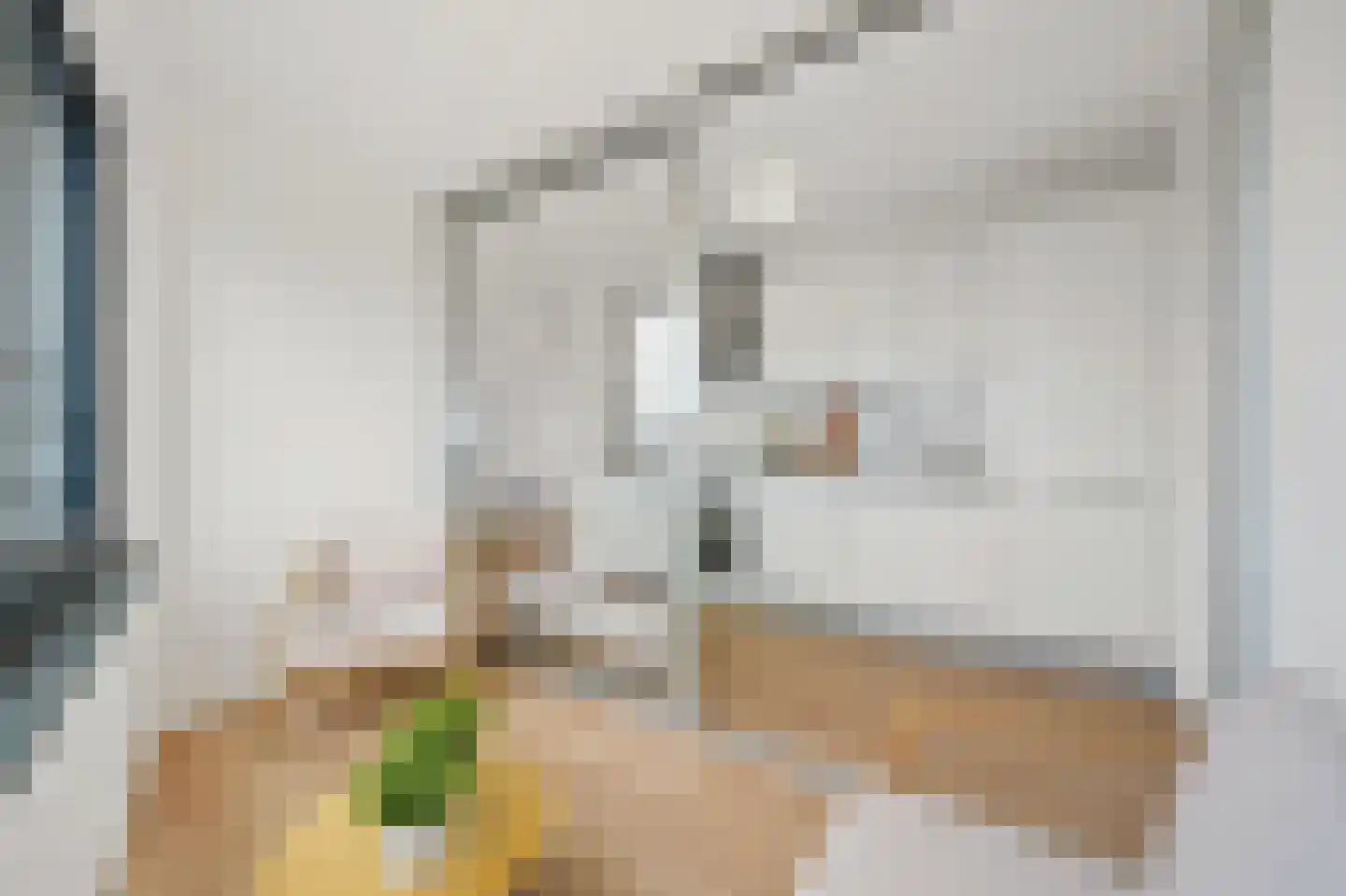 Anna Blamanplein 74 Den Haag thumbnail 27