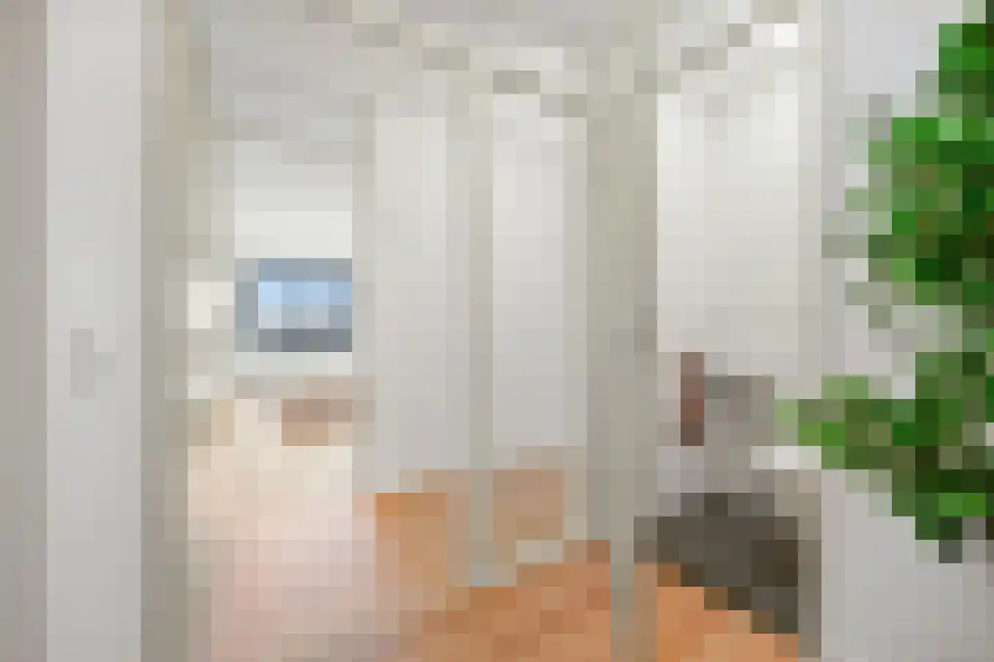 Anna Blamanplein 74 Den Haag thumbnail 6
